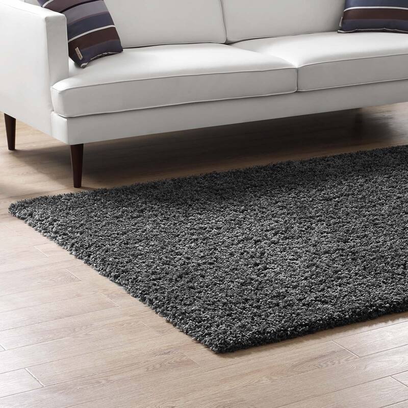 Enyssa Solid Shag Area Rug