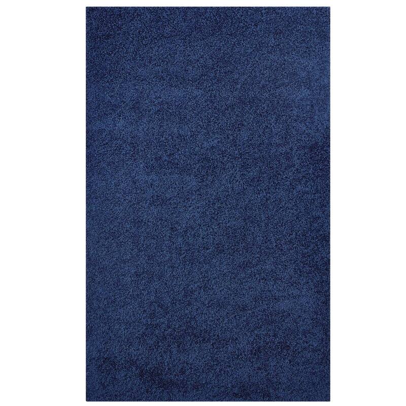 Enyssa Solid Shag Area Rug