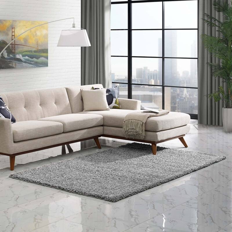 Enyssa Solid Shag Area Rug