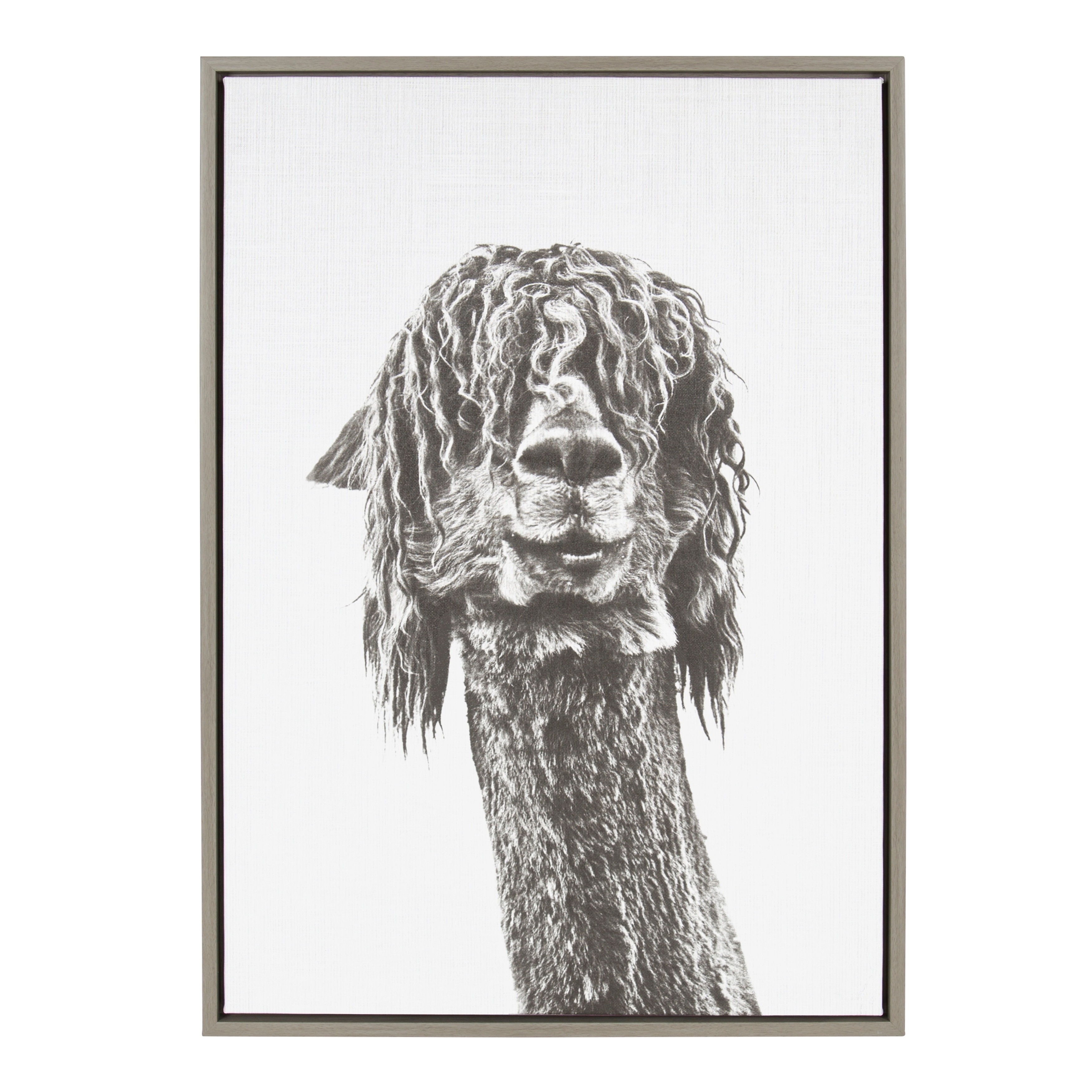 Shop Sylvie Curly Hair Alpaca Framed Canvas Wall Art Gray 23 X 33 Overstock 19850267