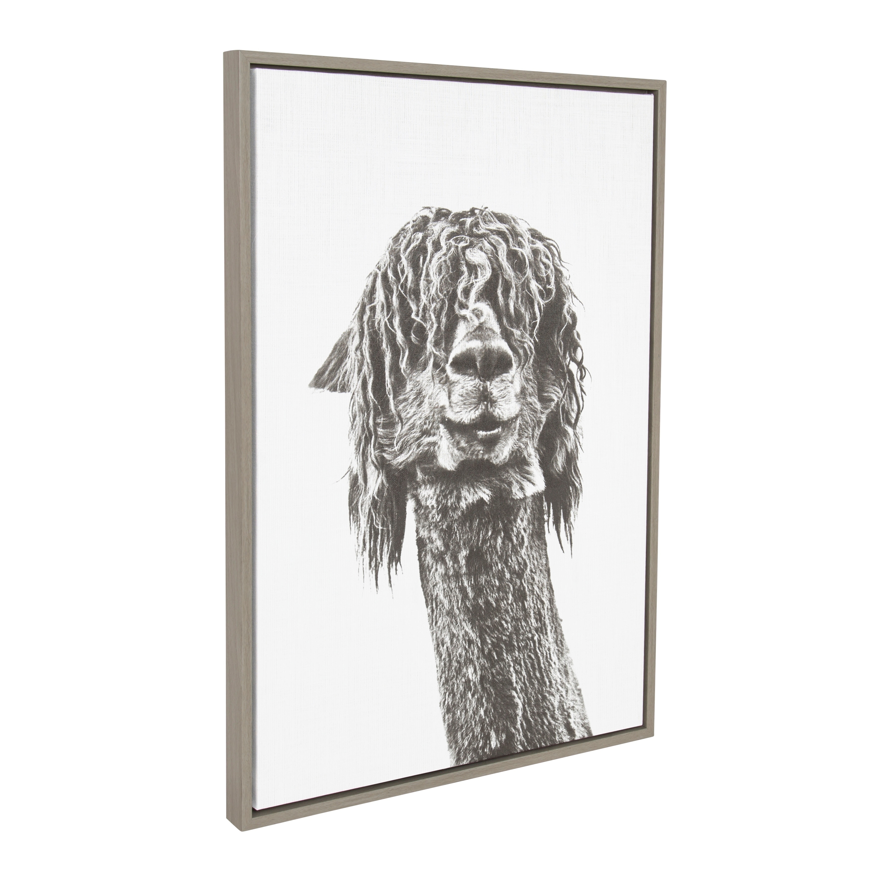 Sylvie Curly Hair Animal Framed Canvas Wall Art, Gray 23 x 33 Bed Bath   Beyond 19850267