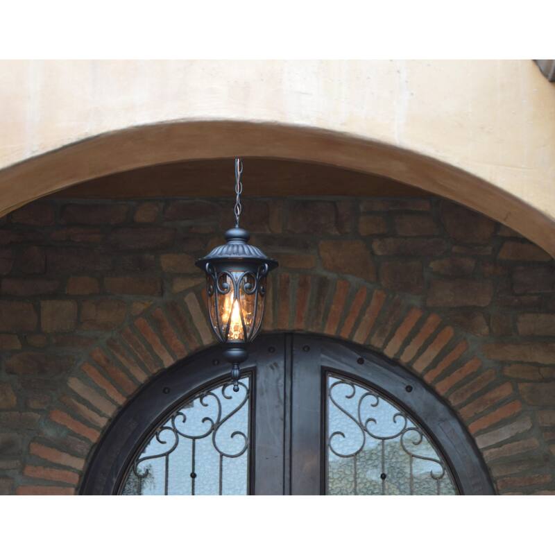 Hailee 1 Light Exterior Hanging Light in Matte Black Finish