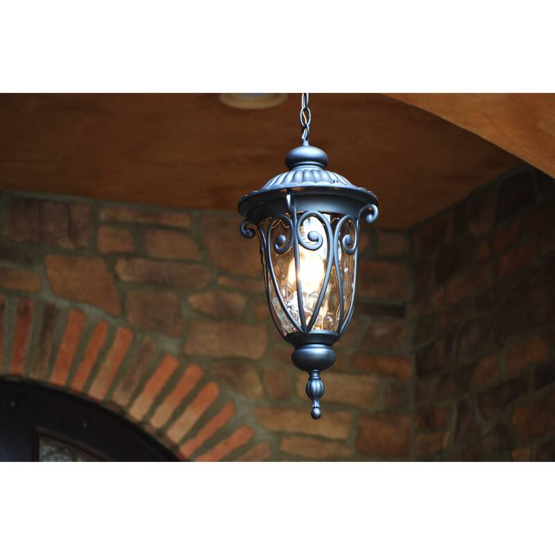 Hailee 1 Light Exterior Hanging Light in Matte Black Finish