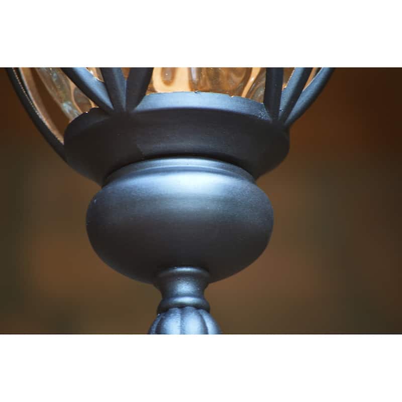 Hailee 1 Light Exterior Hanging Light in Matte Black Finish