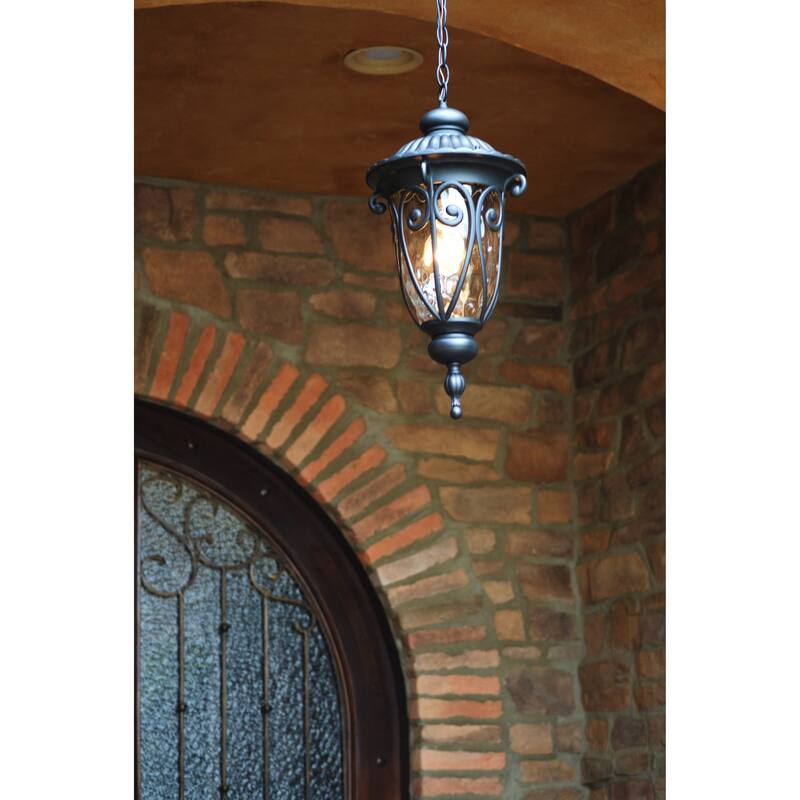 Hailee 1 Light Exterior Hanging Light in Matte Black Finish