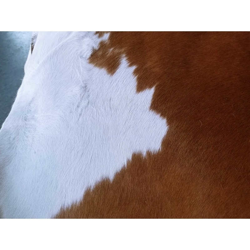 Pergamino Hereford Cowhide Rug