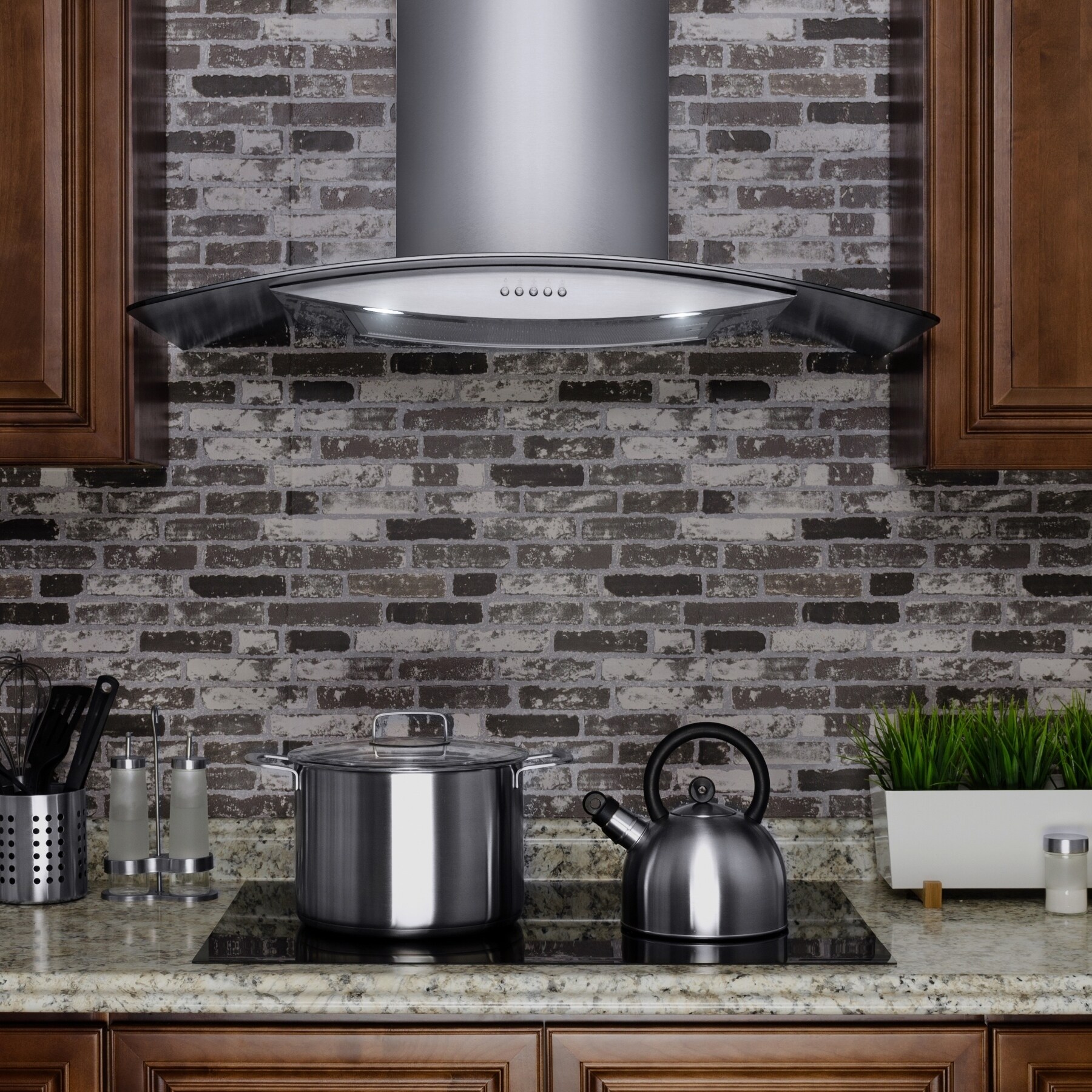 AKDY AK668AS30 30in. Euro Style Wall Mount Stainless Steel Range Hood with Vent