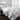 The Curated Nomad Luminet Flora 3-piece Quilt Set