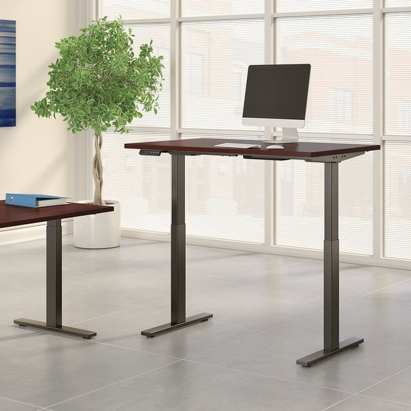 overstock adjustable desk