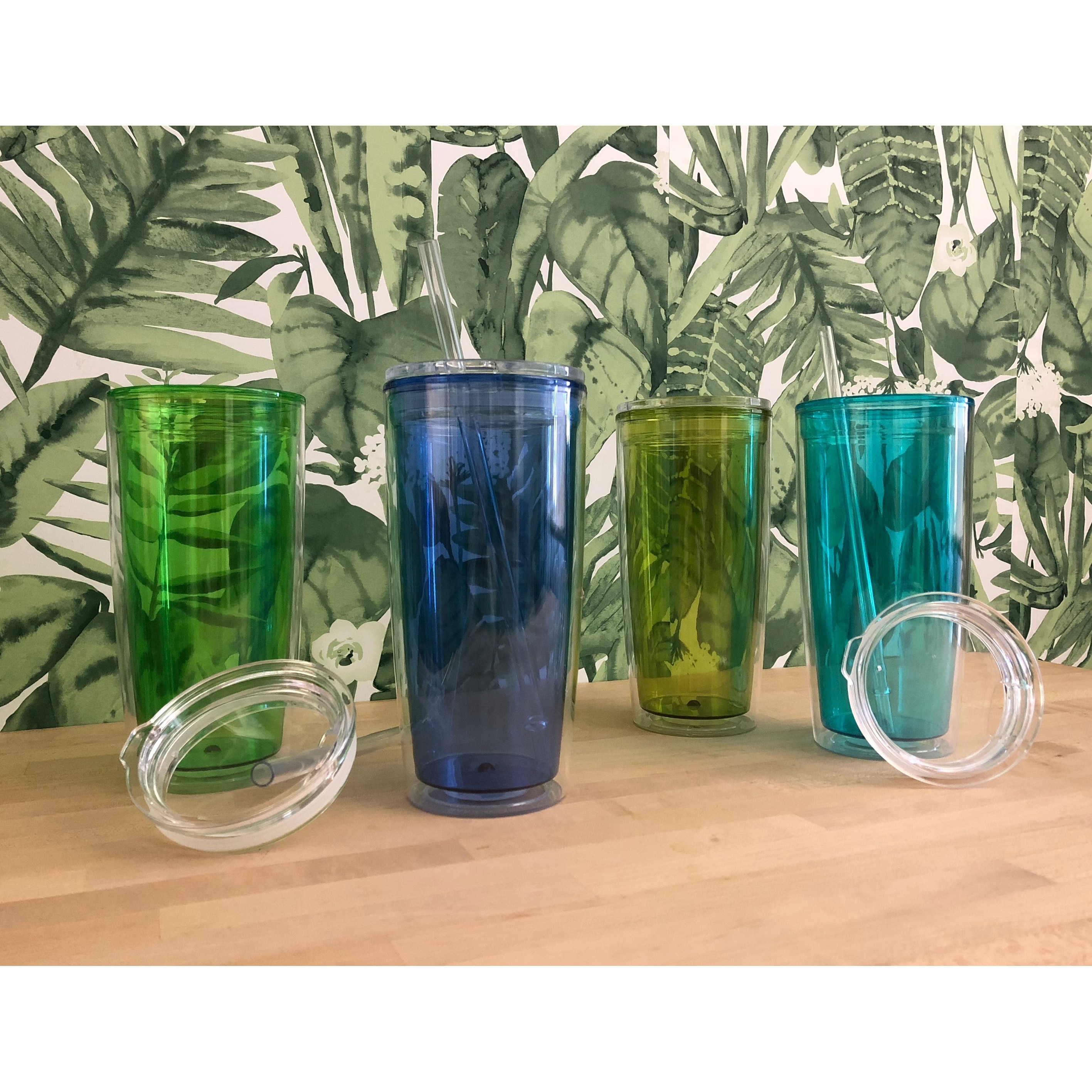 Set of 4 20oz Insualted Plastic Tumblers with Lid and Straw eBay