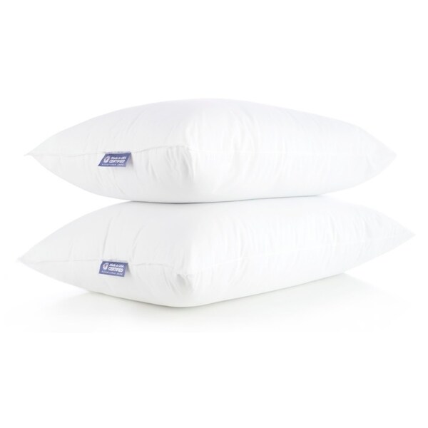 America's Pillow Premium Hypo-Allergenic Down Alternative Bed Pillow (Set of 2) - White