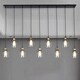 Laurden 9-light Lilnear Chandelier Clear Glass Shade includes Edison Bulbs