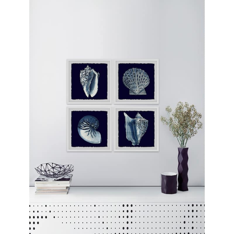 Marmont Hill - Handmade All About Shells Quadriptych - Multi-Color