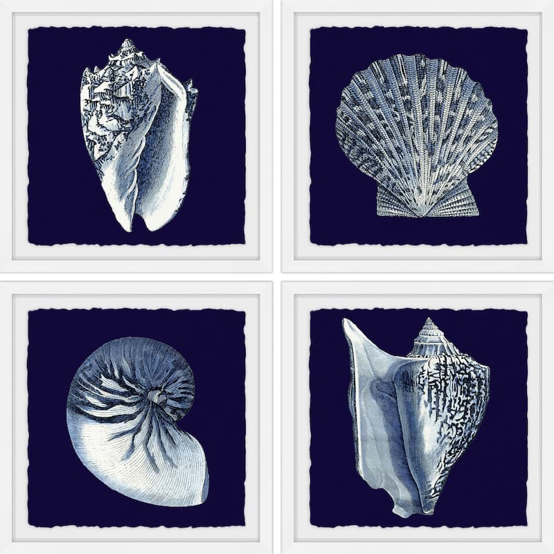 Marmont Hill - Handmade All About Shells Quadriptych - Multi-Color
