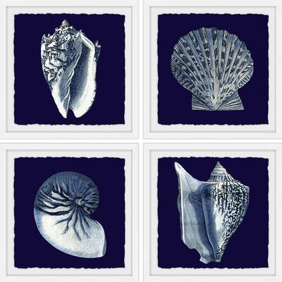 Marmont Hill - Handmade All About Shells Quadriptych - Multi-Color