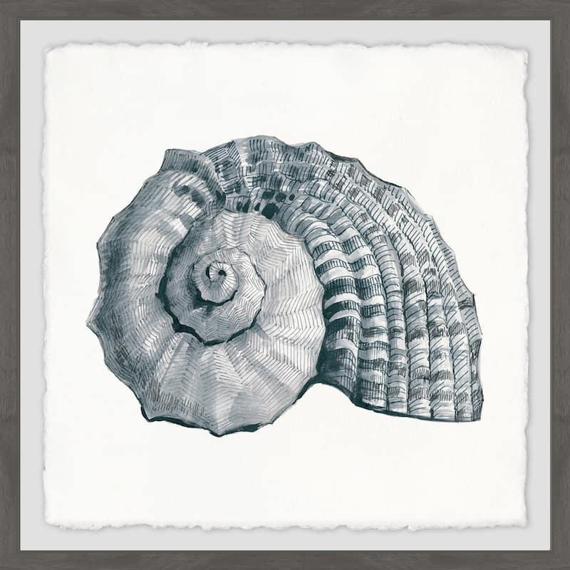 'Sturdy Shell' Framed Painting Print
