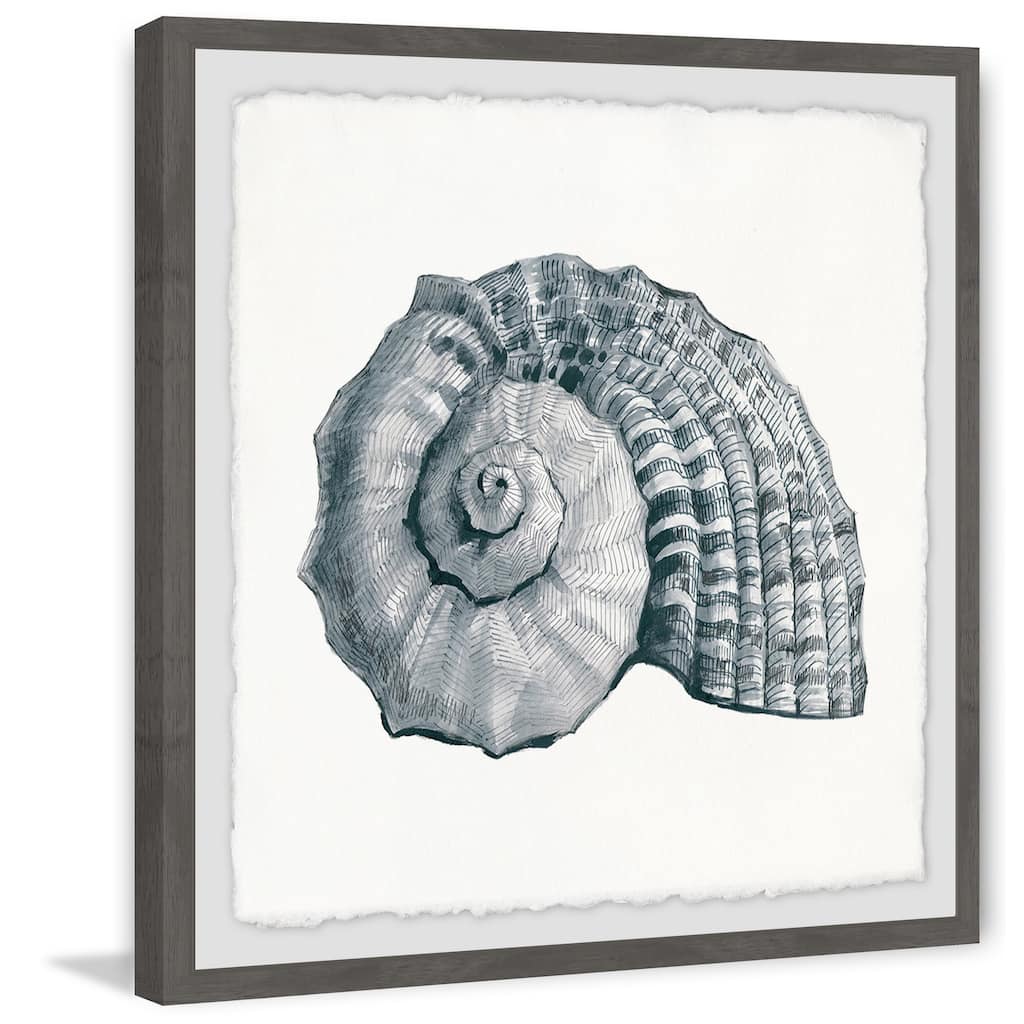 'Sturdy Shell' Framed Painting Print