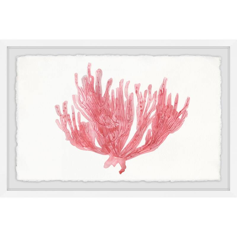 'Lone Coral' Framed Painting Print