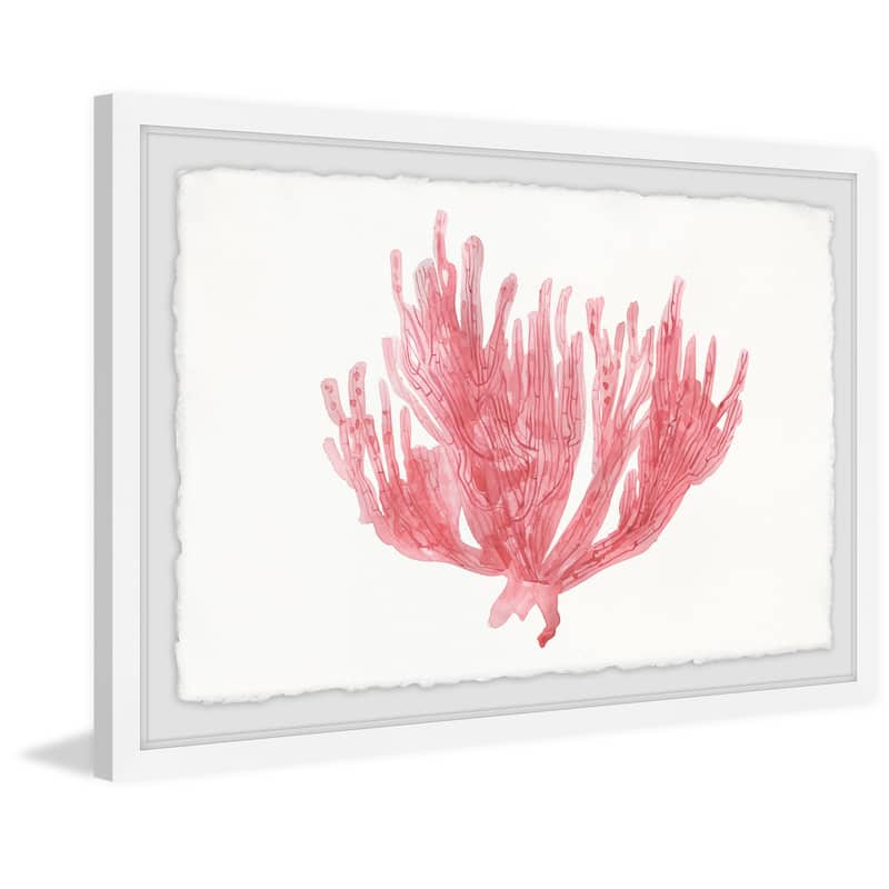 'Lone Coral' Framed Painting Print
