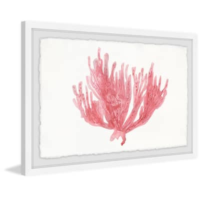 'Lone Coral' Framed Painting Print
