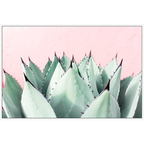 Marmont Hill - Handmade Sweet Succulents Floater Framed Print on Canvas