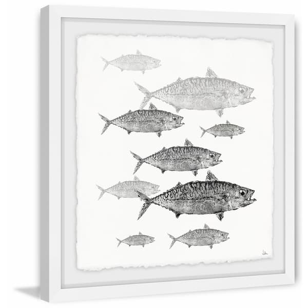 Marmont Hill - Handmade Freshwater Fish Framed Print - On Sale - Bed Bath &  Beyond - 20057176