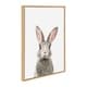Kate and Laurel Sylvie Young Rabbit Framed Canvas by Amy Peterson ...