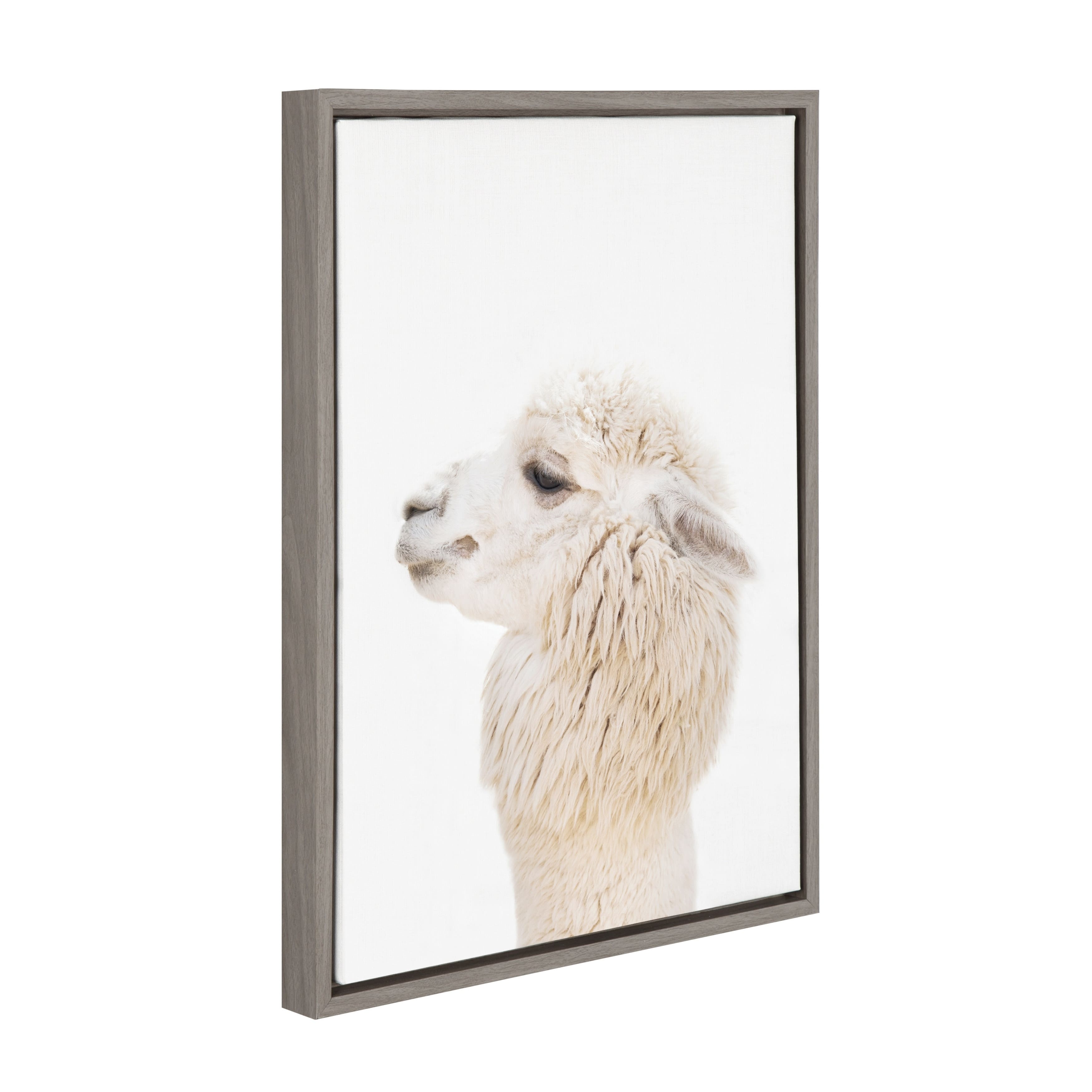 Sylvie Studio Alpaca Animal Print Framed Canvas Art by Amy Peterson N A 3f35978b c462 4411 9c0d 443d1479df69