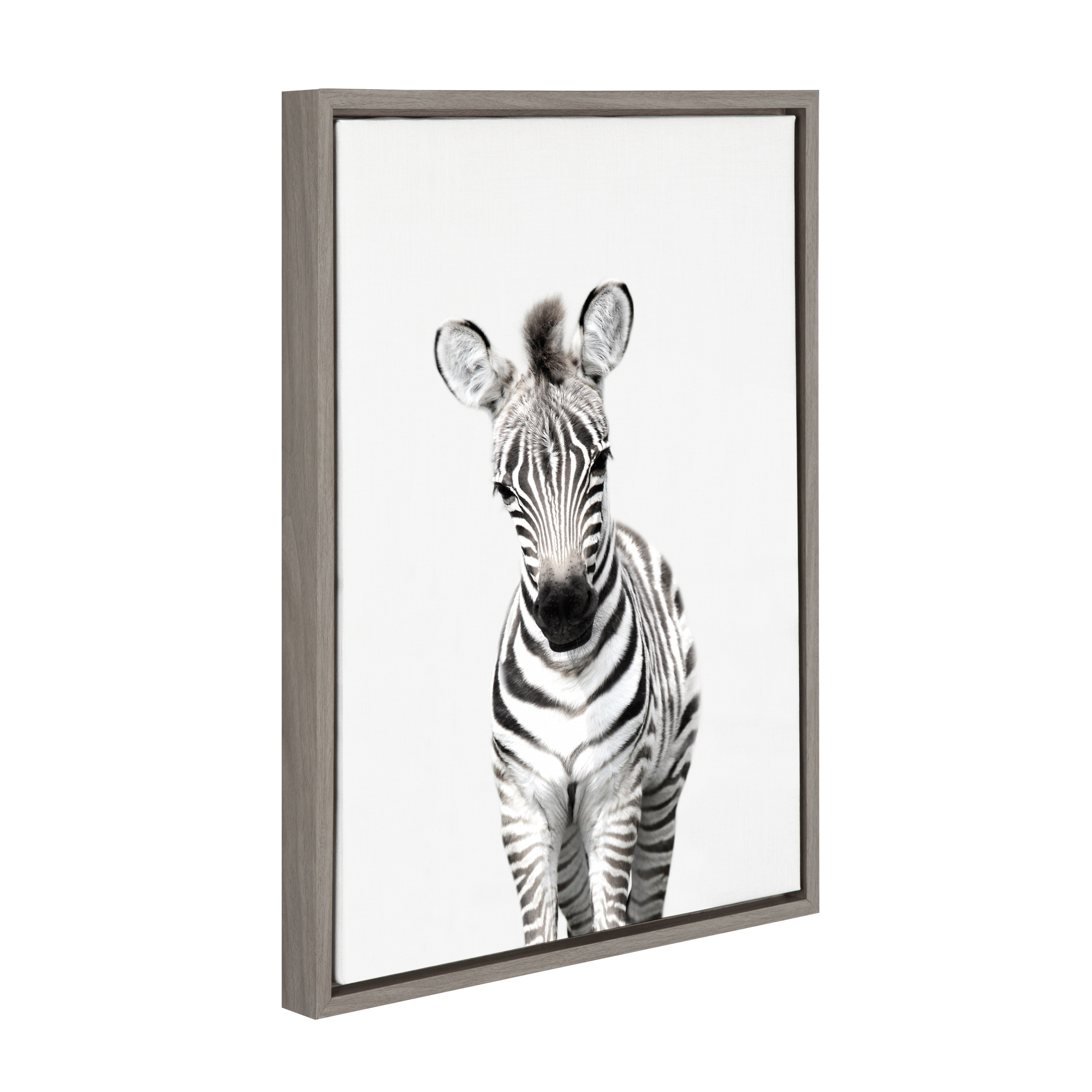 Kate and Laurel Sylvie Baby Zebra Framed Canvas by Amy Peterson - On Sale -  Bed Bath & Beyond - 20091212