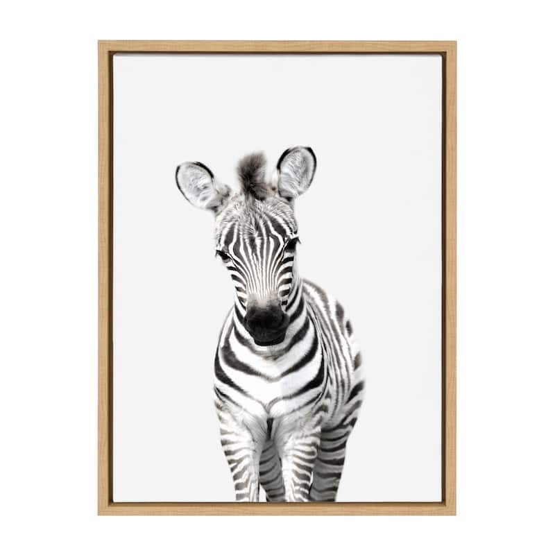 Kate and Laurel Sylvie Baby Zebra Framed Canvas by Amy Peterson