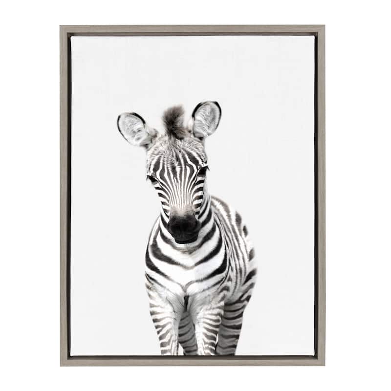 Kate and Laurel Sylvie Baby Zebra Framed Canvas by Amy Peterson