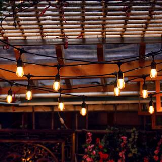 Wired Landscape Lighting Online At Our Best 24 Bulbs String Lights