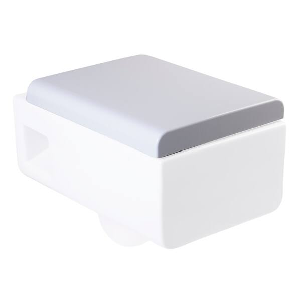 EAGO R333SEAT Replacement Soft Closing Toilet Seat for WD333