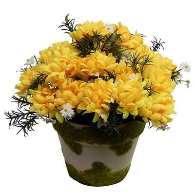 Mums in faux moss covered vase