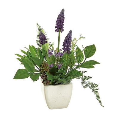 Grape Hyacinth Blossom & Fern in Pot