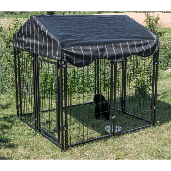 52 dog outlet crate