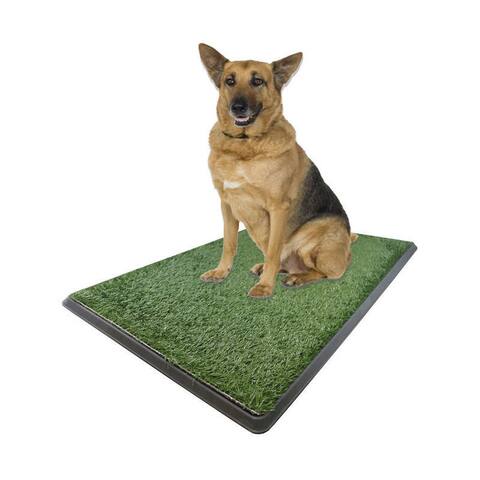 X Large Dog Potty Grass Pet Potty Patch Dog Training Bathroom Pad - Indoor Outdoor Use 30"X20"X2