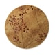 Copper Grove Uwharrie Red Floral Area Rug - Thumbnail 2