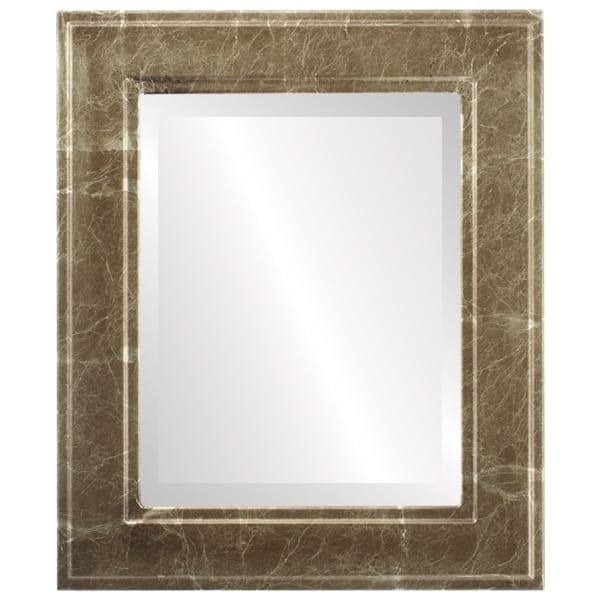 Montreal Framed Rectangle Mirror in Champagne Gold - Antique Gold