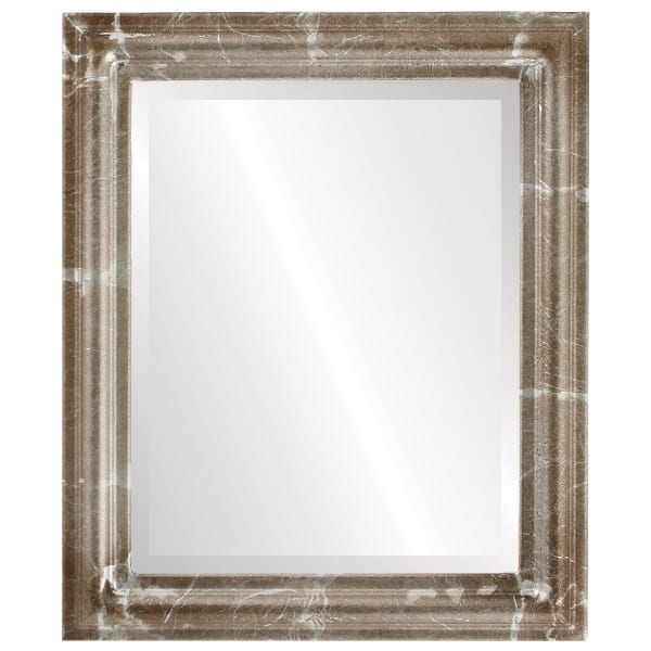 Philadelphia Framed Rectangle Mirror in Champagne Silver - Antique Silver