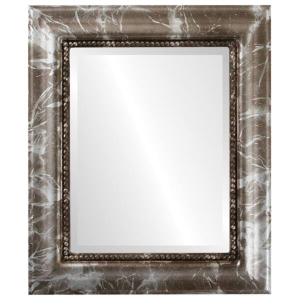 Heritage Framed Rectangle Mirror in Champagne Silver Antique Silver