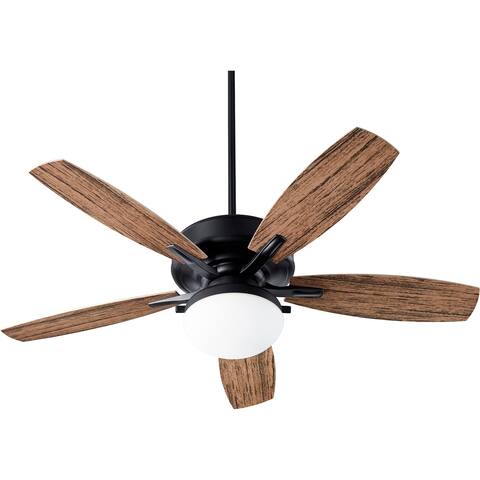 Painted Ceiling Fans Find Great Ceiling Fans Accessories