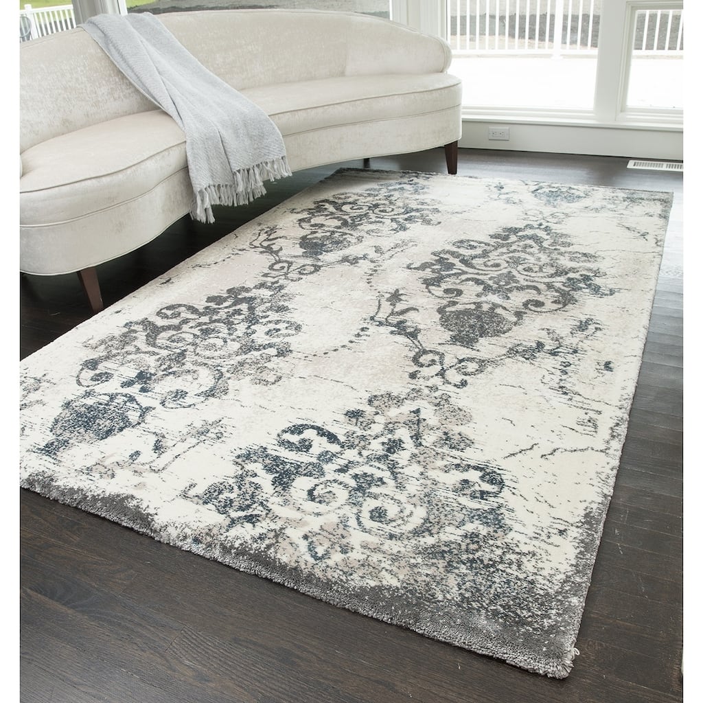Webster Modern Vintage Medallion Area Rug - 8' x 10'