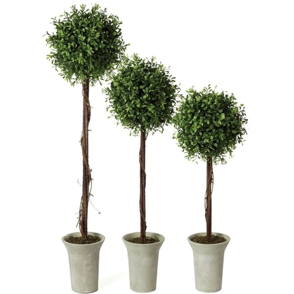 Boxwood Topiary Tree. Opens flyout.