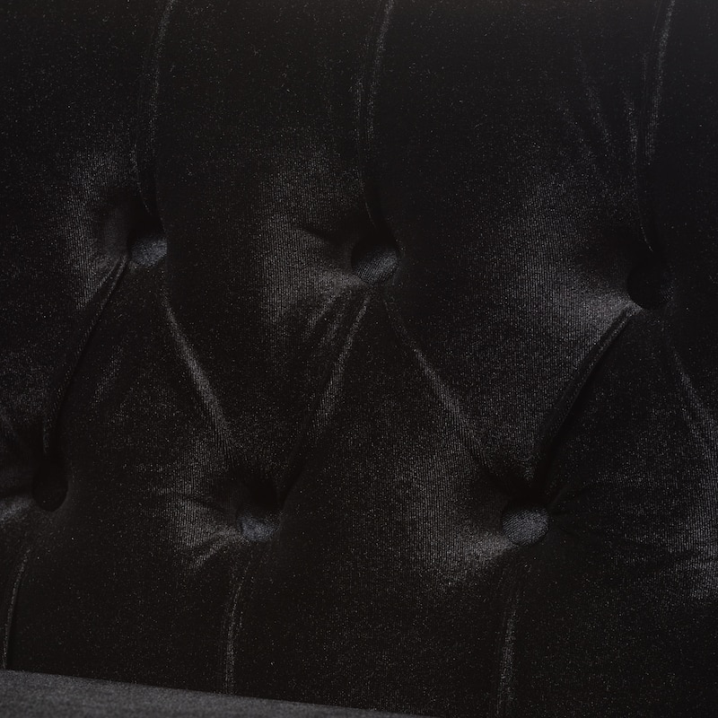 Contemporary Black Velvet Fabric Loveseat by Baxton Studio