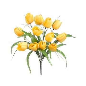 Baby Tulip Bushes - Yellow