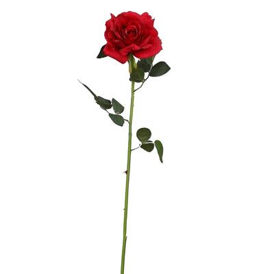 31" Long Stem Roses (Set Of 12) Red