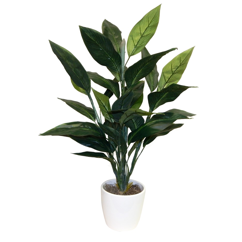 Buy Artificial Plants Online At Overstock Our Best Decorative
