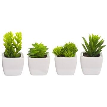 Set Of 4 Succulent Refrigerator Magnets - Green