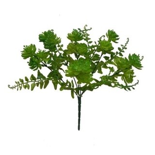 Set Of 2 Echeveria Bush - Green